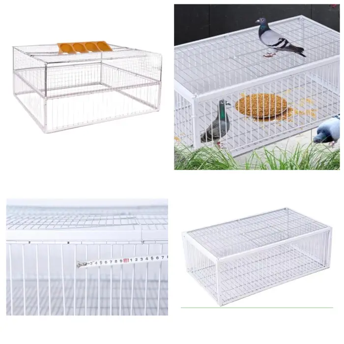 Big Foldable Galvanised Pigeon Dove Bird Trap Cage